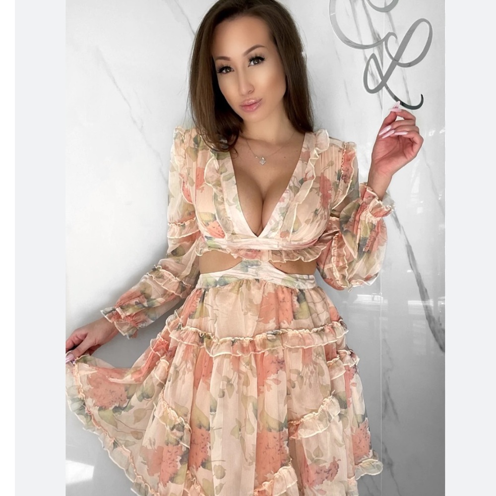 Floral Sheer Ruffle Dress